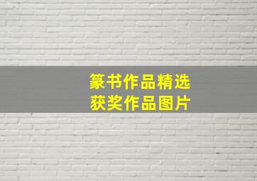 篆书作品精选 获奖作品图片